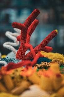 © Copyright: Rosanna Baledda