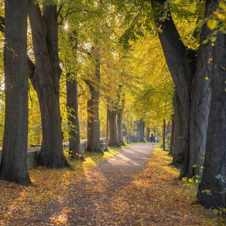 © Wirtschaft und Marketing Soest, Gero Sliwa