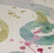 Pflanzenfarben &copy; Foto: Wibke Seibert