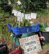 Beschriftungen mit Pflanzenname und Blühfarbe helfen bei der Auswahl