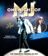 One Night of MJ - The Tribute to the King of Pop © Bilder (c) reset production