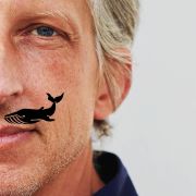  &copy; ©Axel Schulte